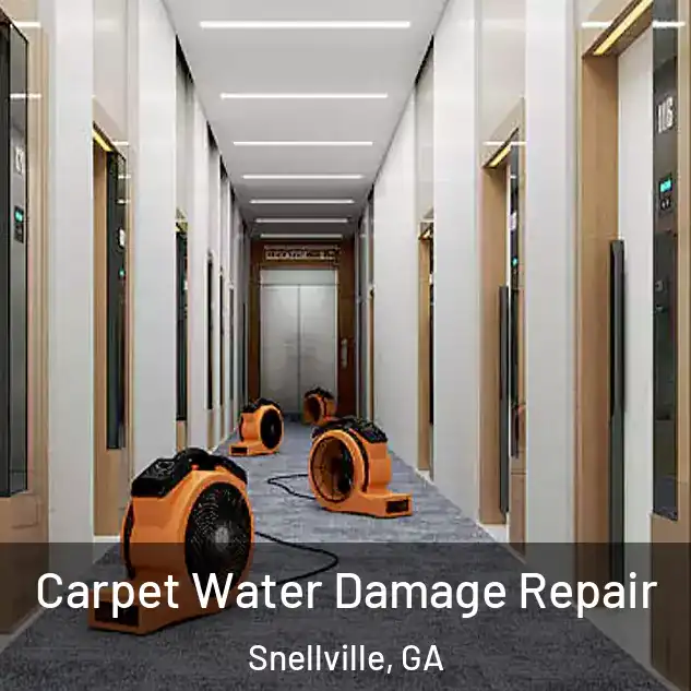  Carpet Water Damage Repair Snellville, GA