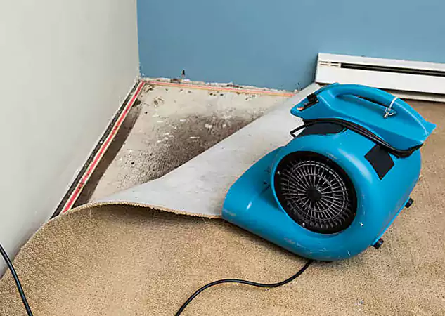 Your Water Damage Experts in Snellville, GA