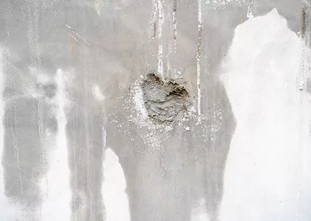 Your Mold Mitigation Solutions Partner in Snellville, GA