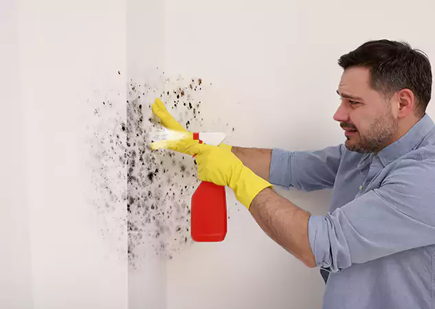 Your Water Mold Fire Restoration Partner in Snellville, GA