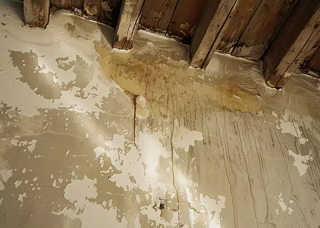 Your Trusted Restoration Company in Snellville, GA