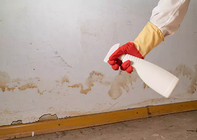 Your Water Restoration and Mold Remediation Specialists in Snellville, GA