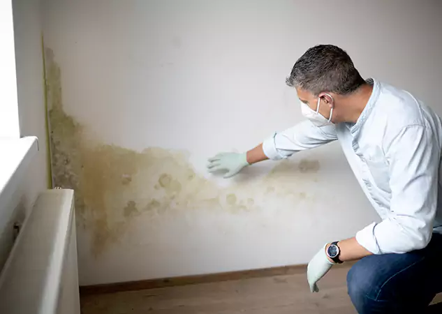 Reach Our Remediation Team Before Damage Grows in Snellville, GA!