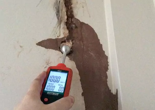 Your Water Damage Assessment Partner in Snellville, GA