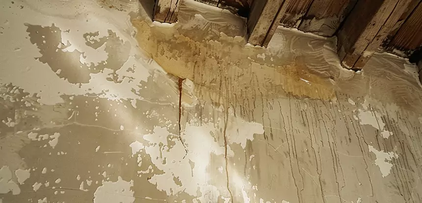 Professional Attic Water Damage Repair Services in Snellville, GA