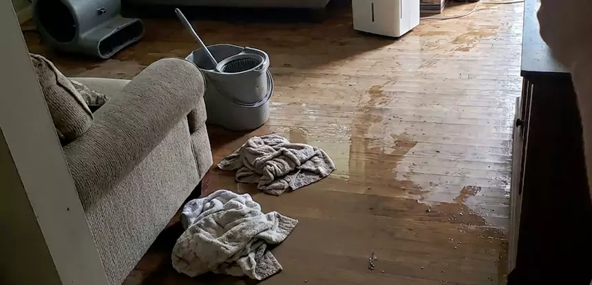 Professional Basement Water Remediation Services in Snellville, GA
