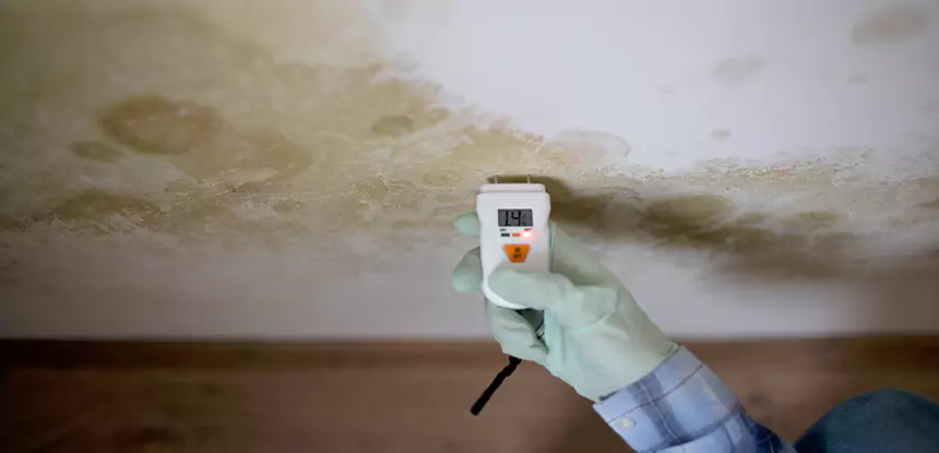 Emergency Mold Remediation in Snellville