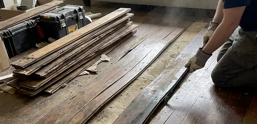 Wood Rot and Fungus Repair in Snellville