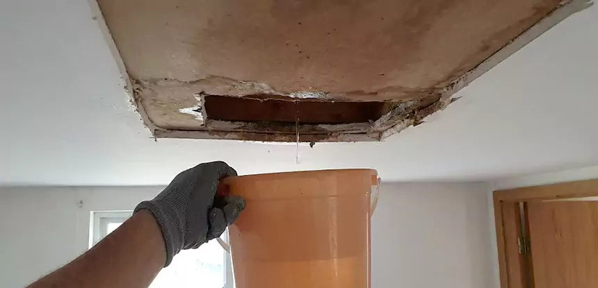 Ceiling Mold Repair Snellville 