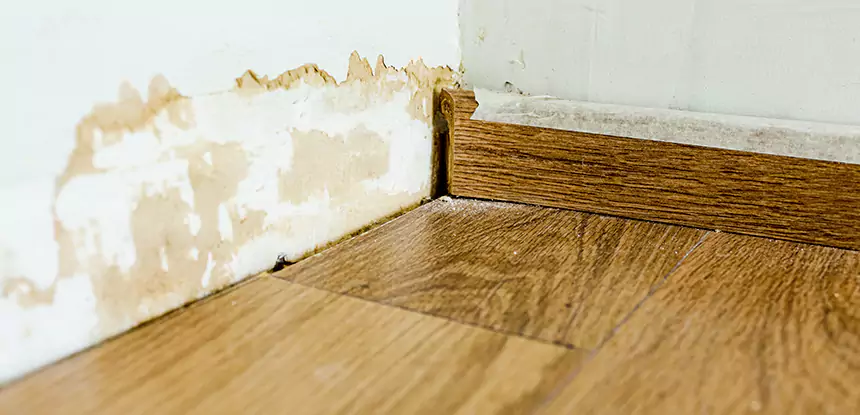 Professional Fix Water Damaged Wood Services in Snellville, GA