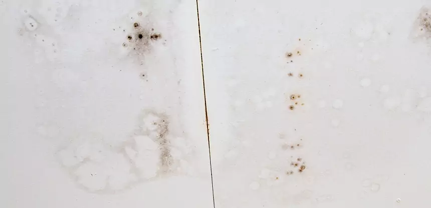 Professional Water Stain Repair Services in Snellville, GA