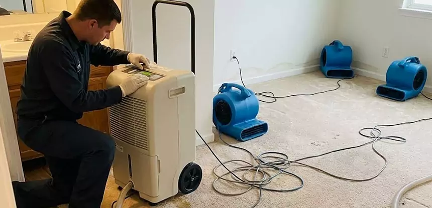 Professional Wet Carpet Removal Services in Snellville, GA
