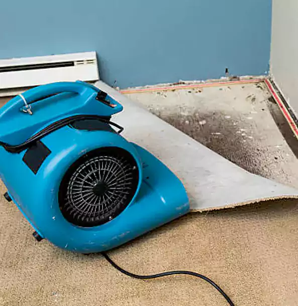 Why Snellville Trusts Snellville Restoration Pro for Carpet Flood Recovery?