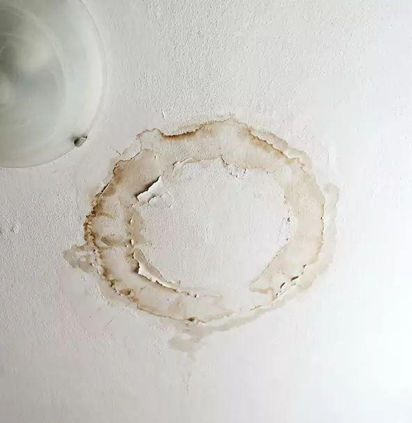 Why Snellville Property Owners Choose Snellville Restoration Pro for Ceiling Water Damage Restoration?