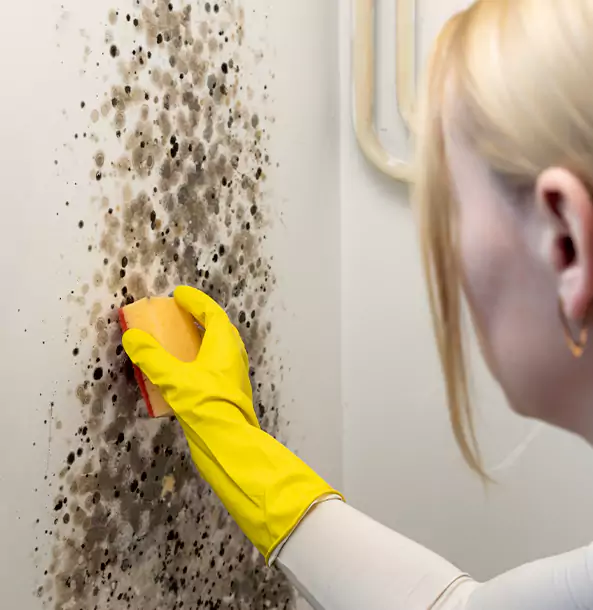 Why Snellville Restoration Pro Leads Mold Remediation in Snellville?