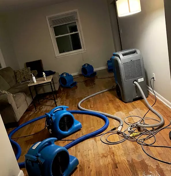 Why Snellville Property Owners Rely on Snellville Restoration Pro for Remediation?