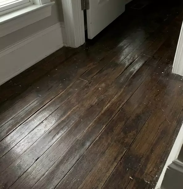 Why Snellville Homeowners Trust Snellville Restoration Pro to Fix Water Damaged Wood?