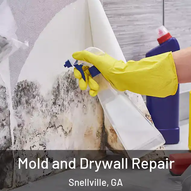  Mold and Drywall Repair Snellville, GA