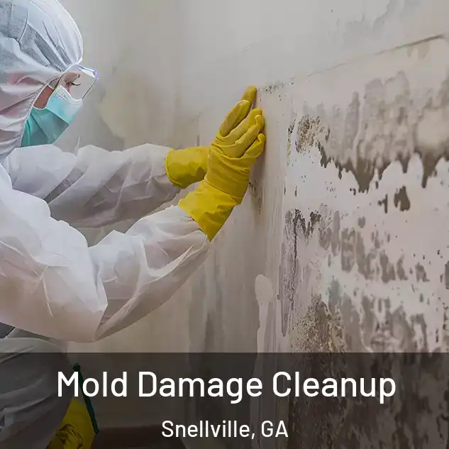  Mold Damage Cleanup Snellville, GA