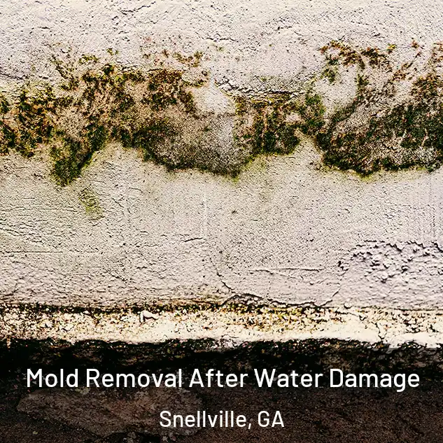  Mold Removal After Water Damage Snellville, GA