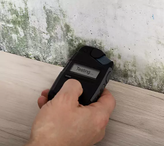 Mold Remediation Service Snellville