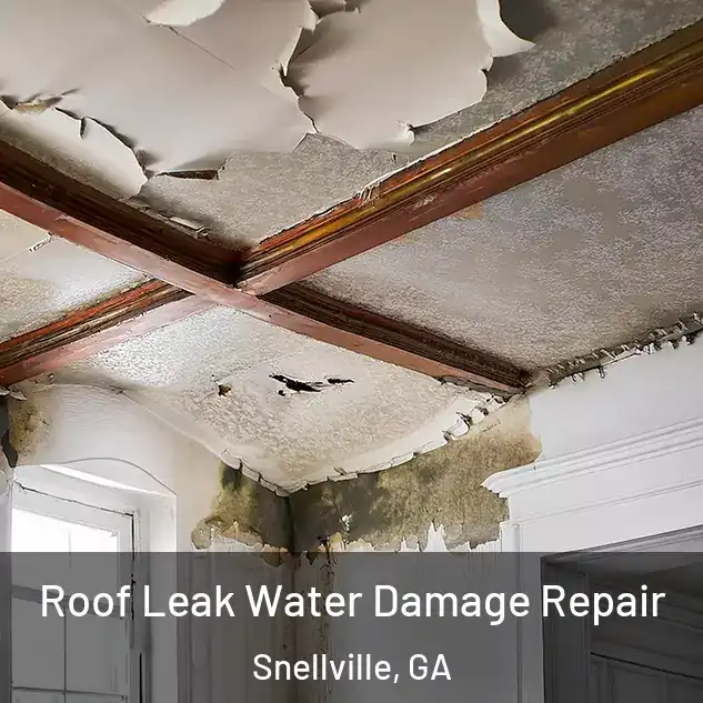  Roof Leak Water Damage Repair Snellville, GA