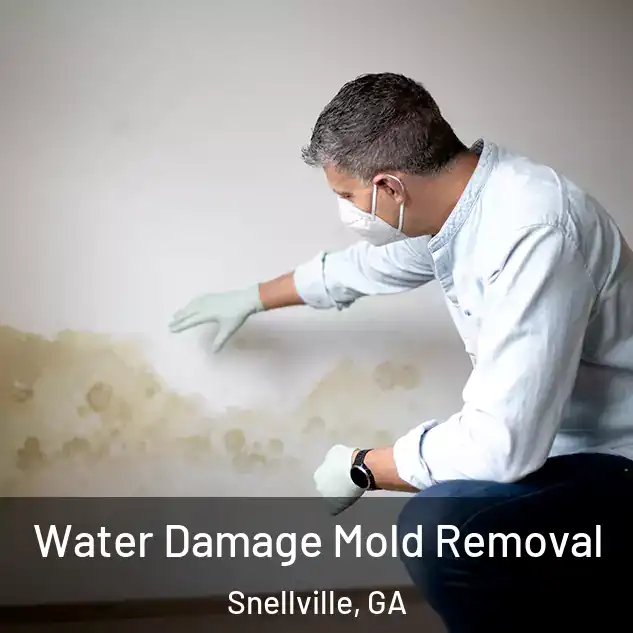  Water Damage Mold Removal Snellville, GA
