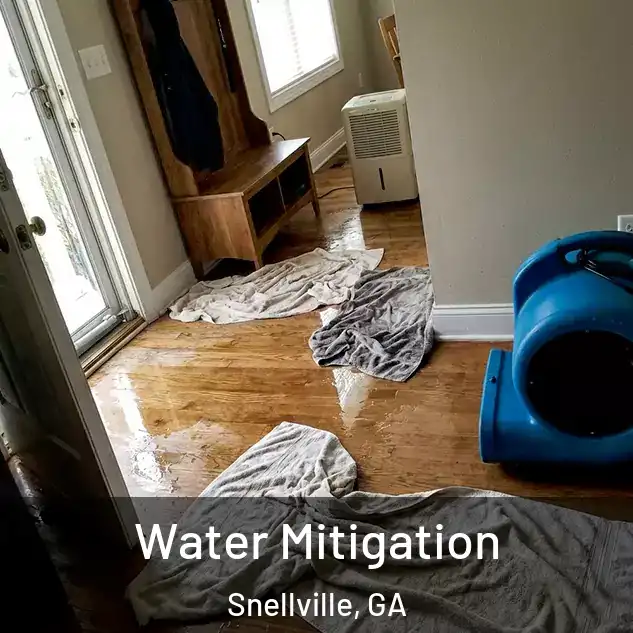  Water Mitigation Snellville, GA