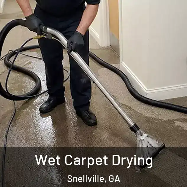  Wet Carpet Drying Snellville, GA
